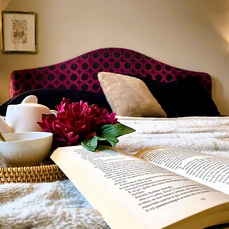 Apartment Montallegrosuite